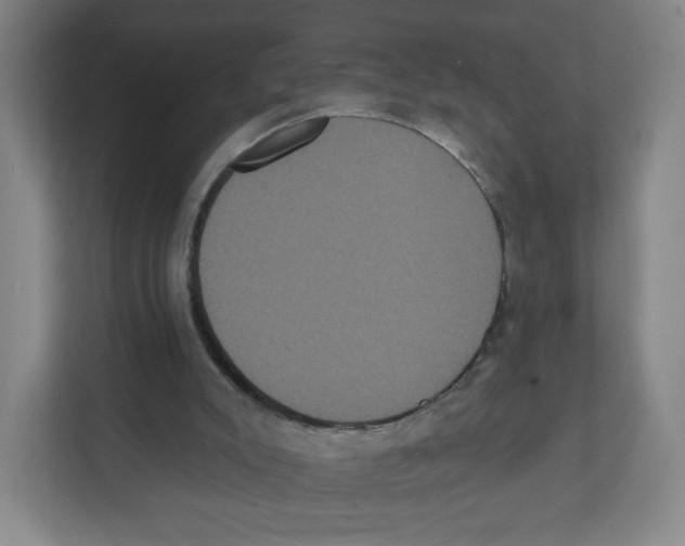 X0000111830007200908201201