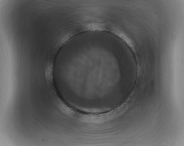 X0000111830009200908201201