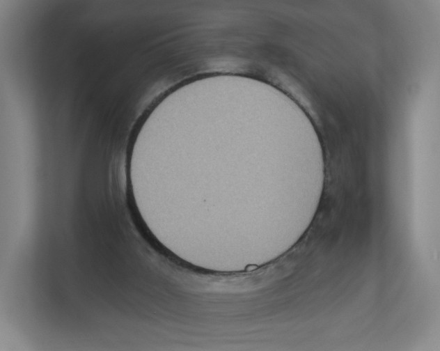 X0000111830011200908201201
