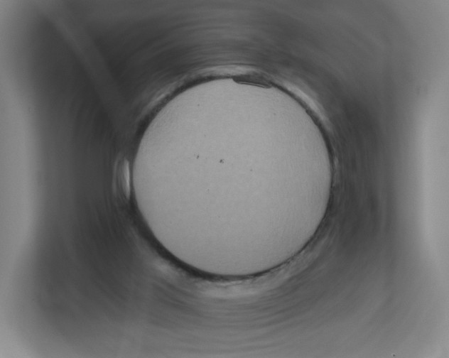 X0000111830013200908201201