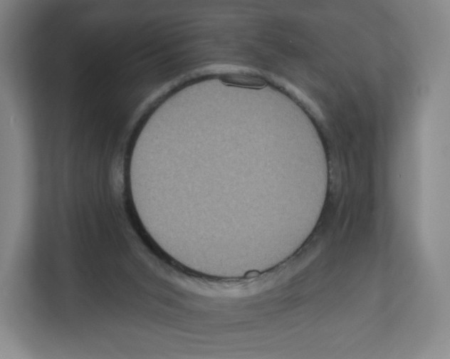 X0000111830015200908201201