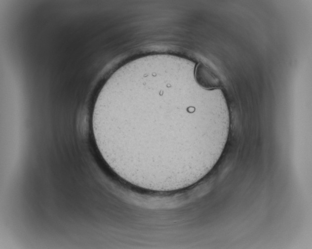X0000111830016200908201201
