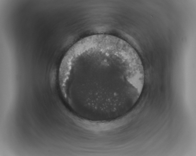 X0000111830018200908201201