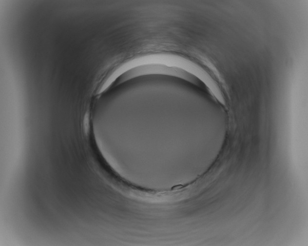 X0000111830019200908201201