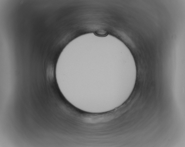 X0000111830021200908201201