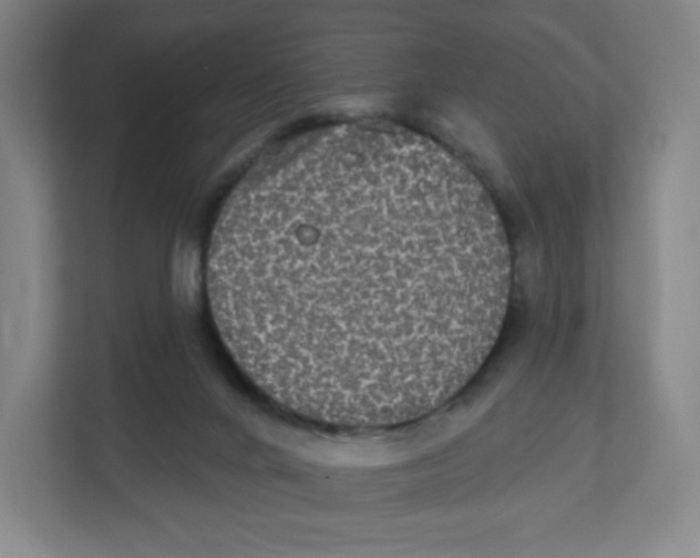X0000111830024200908201201
