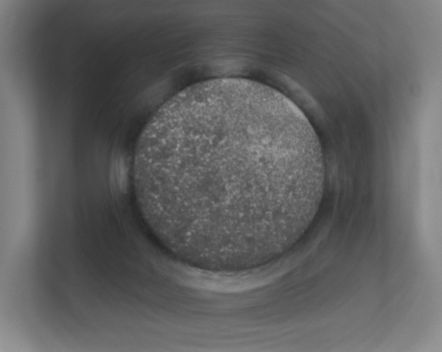 X0000111830026200908201200