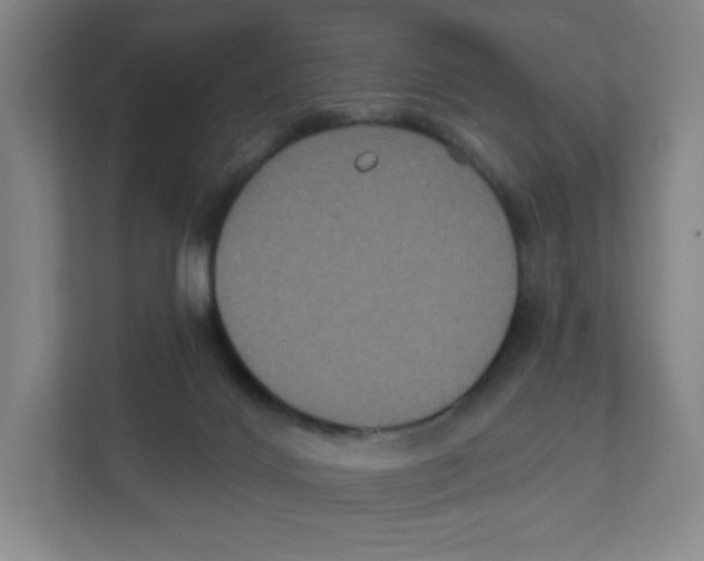 X0000111830028200908201200