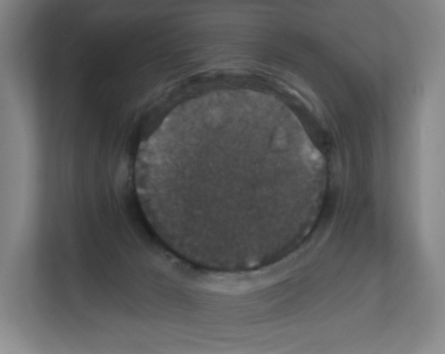 X0000111830029200908201200