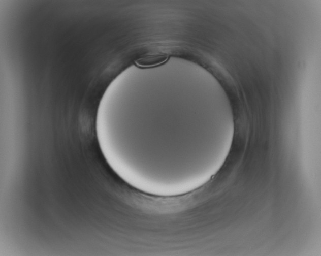 X0000111830031200908201200