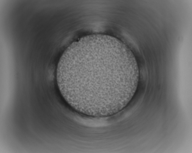 X0000111830032200908201200