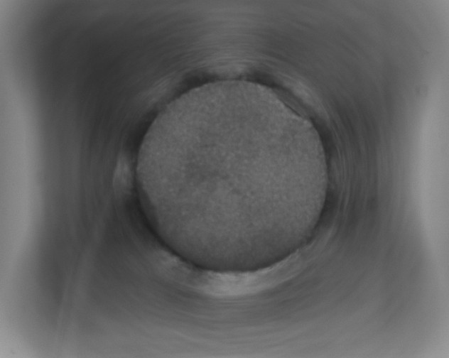 X0000111830037200908201200