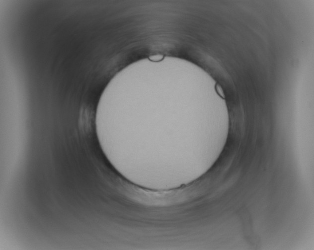 X0000111830038200908201200