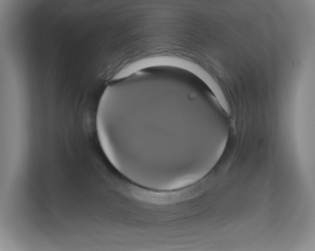 X0000111830039200908201200