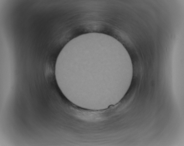 X0000111830040200908201200