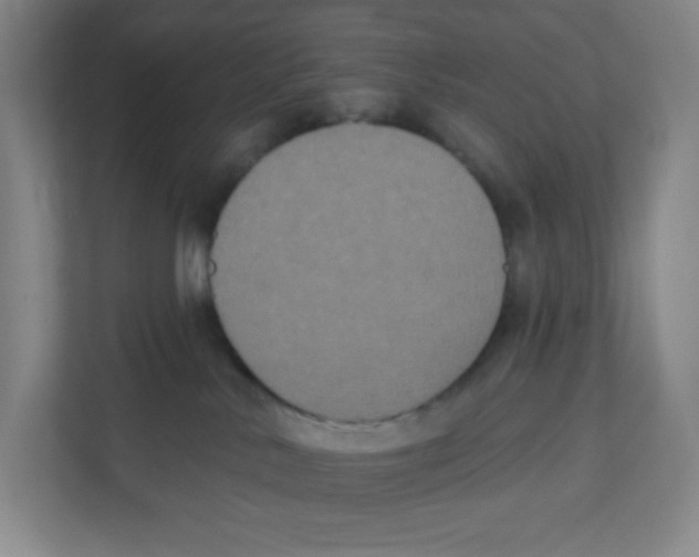 X0000111830042200908201200
