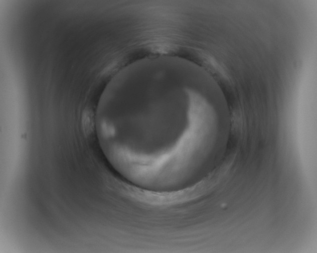 X0000111830043200908201200