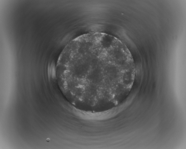 X0000111830046200908201200