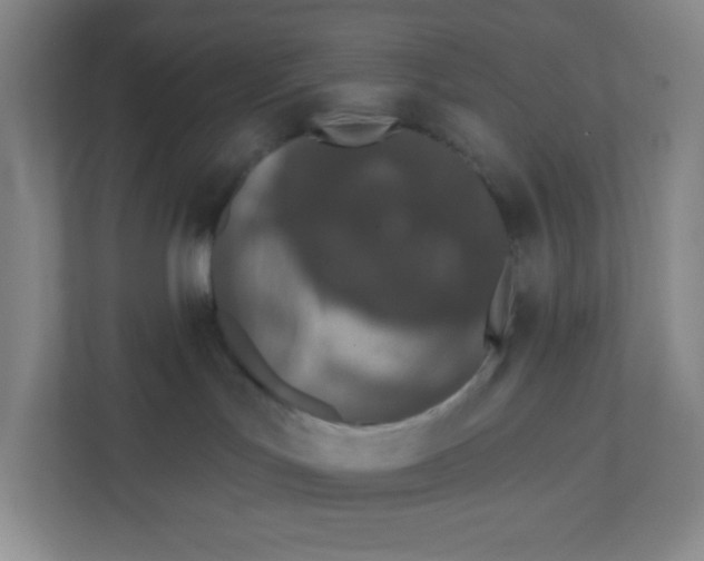 X0000111830047200908201200