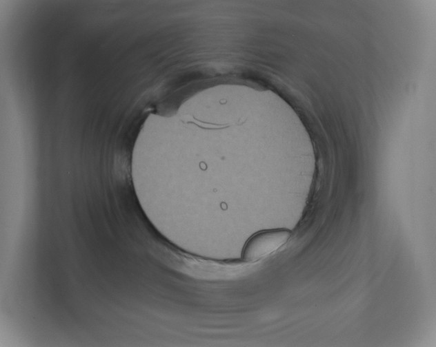 X0000111830048200908201200