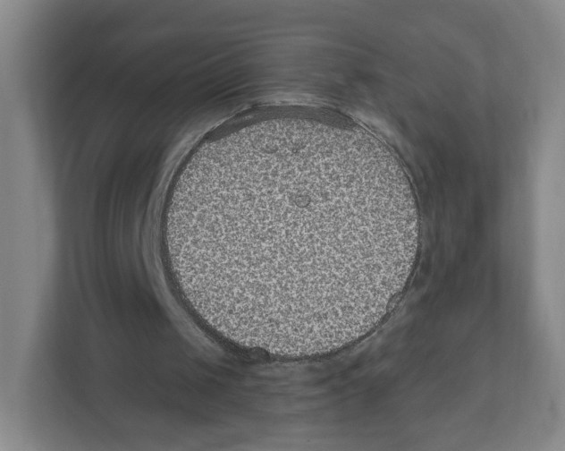 X0000111830049200908201159