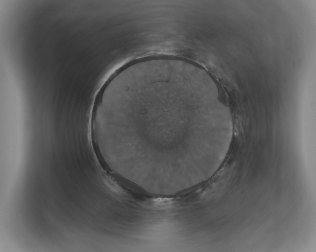 X0000111830052200908201200