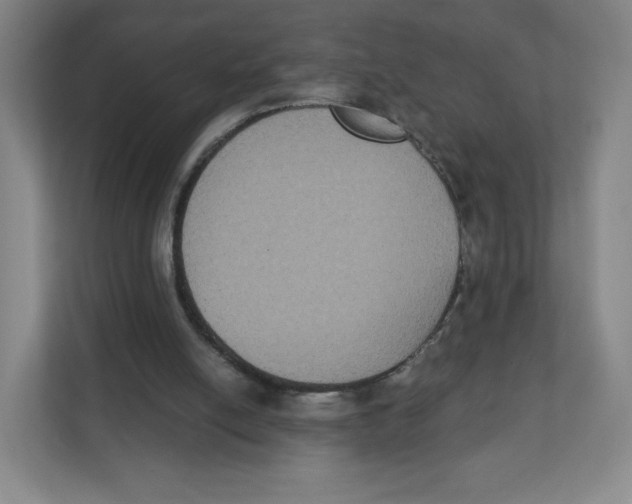 X0000111830054200908201200