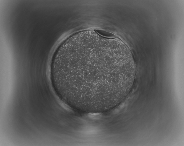 X0000111830055200908201200