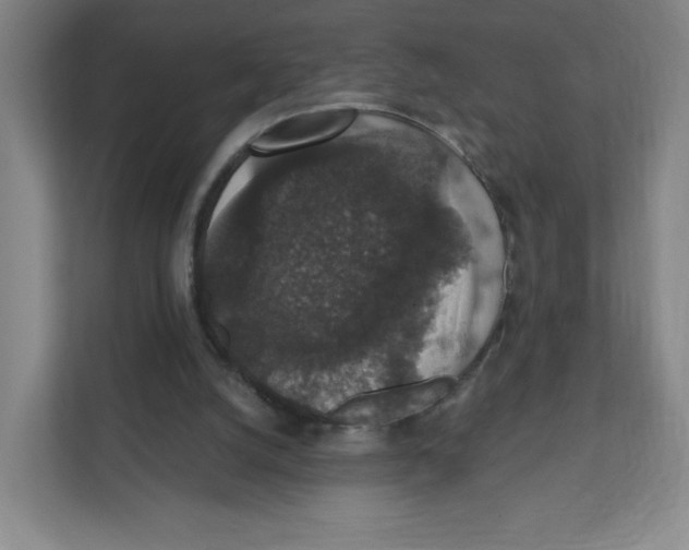 X0000111830056200908201200