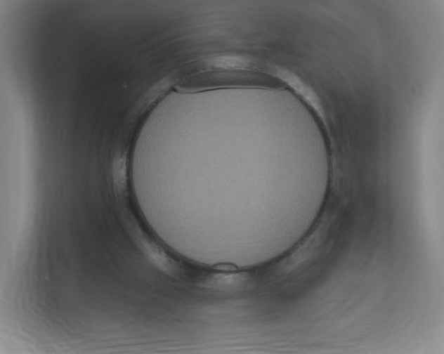 X0000111830057200908201200