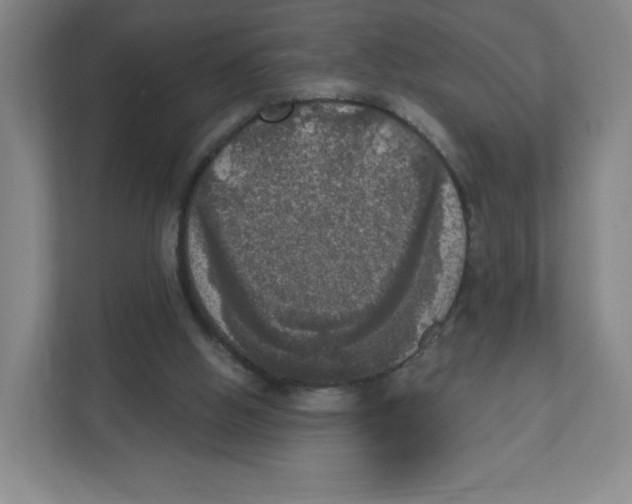 X0000111830058200908201200