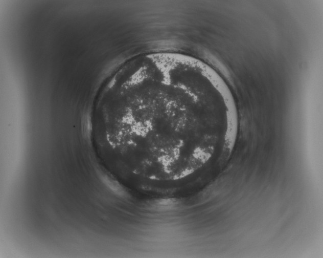 X0000111830059200908201200