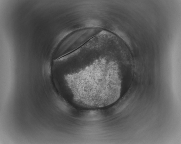 X0000111830060200908201200