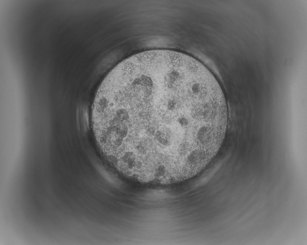 X0000111830061200908201200