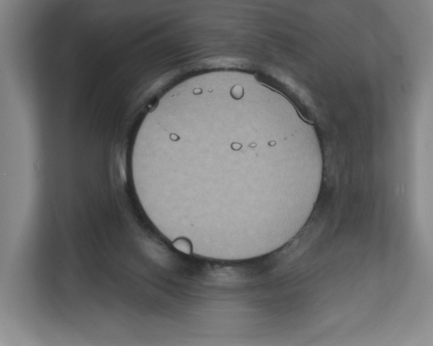 X0000111830062200908201200
