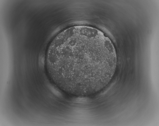 X0000111830063200908201200