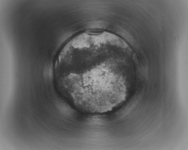 X0000111830064200908201200