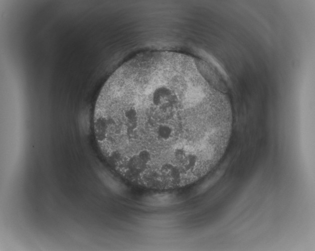 X0000111830065200908201200