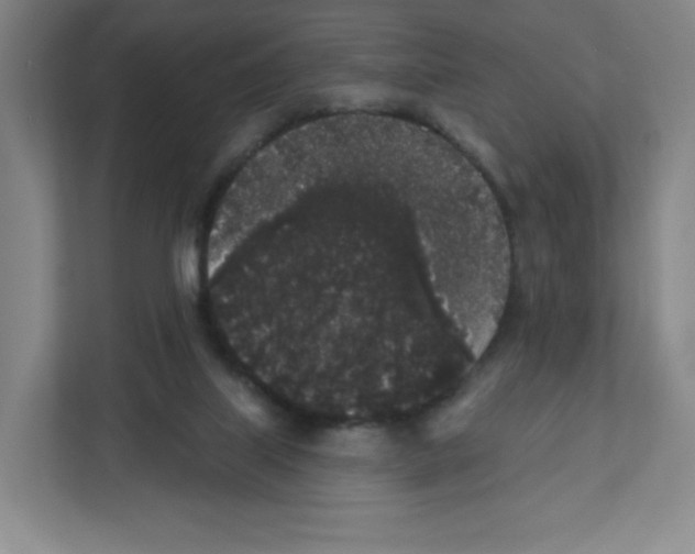 X0000111830067200908201200