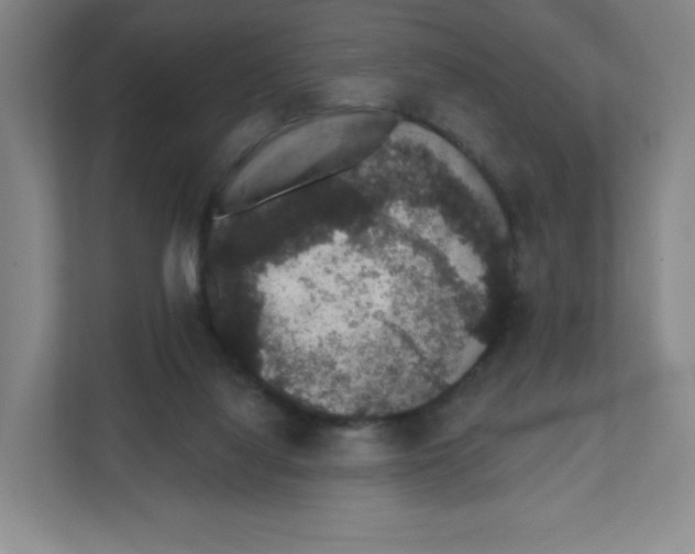 X0000111830068200908201200
