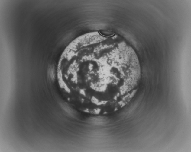 X0000111830069200908201200