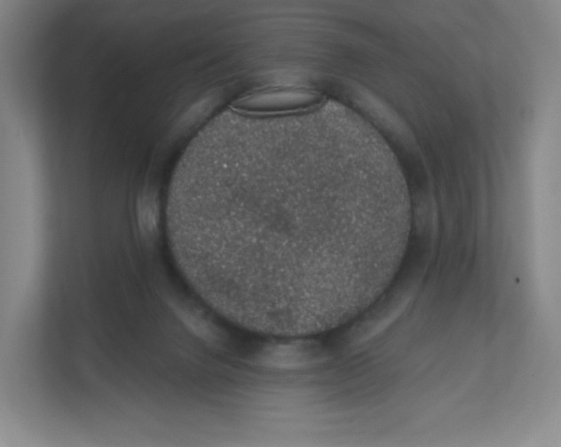 X0000111830072200908201200