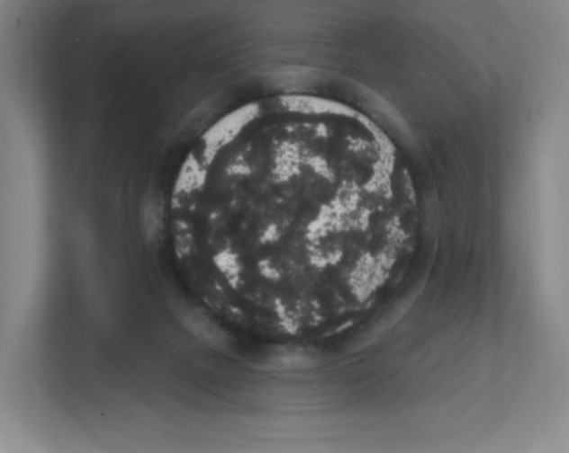 X0000111830073200908201200