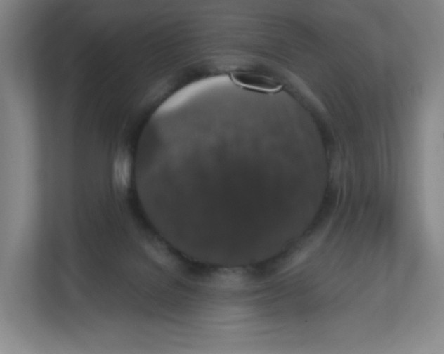X0000111830076200908201200