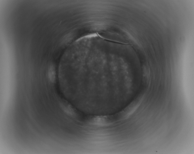X0000111830080200908201200