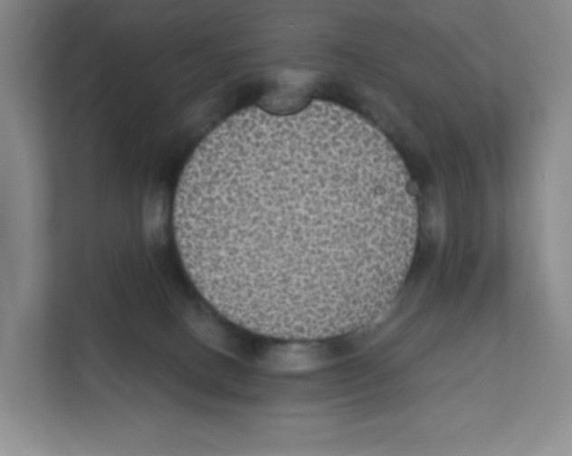 X0000111830082200908201200