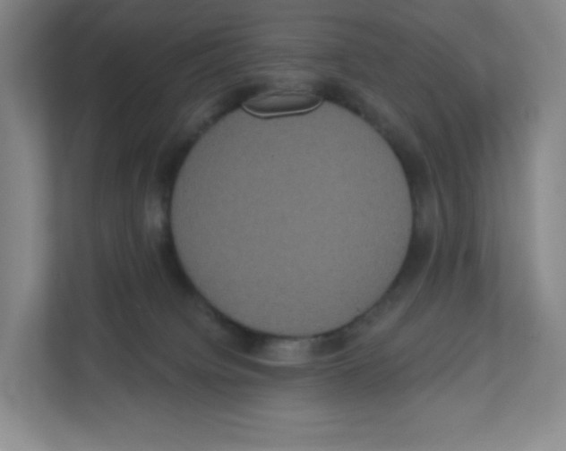 X0000111830084200908201200