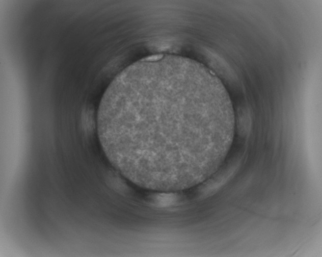 X0000111830085200908201200
