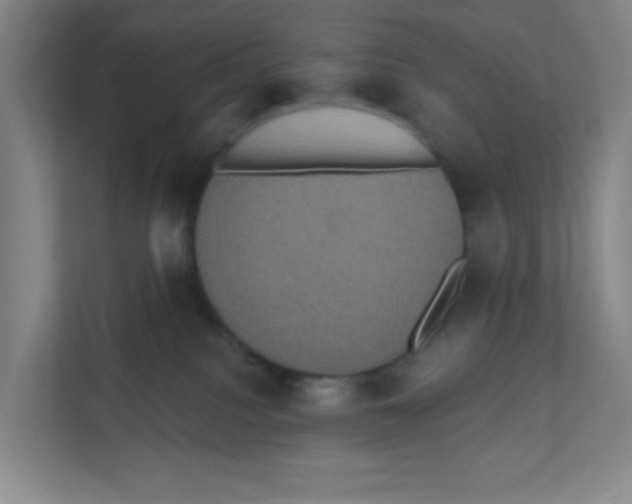 X0000111830088200908201200