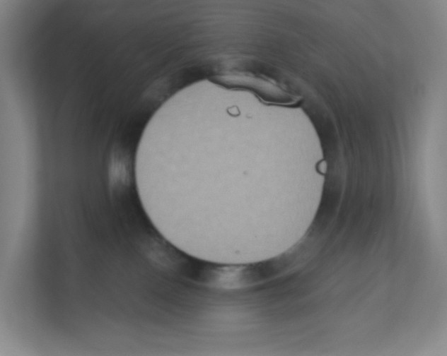 X0000111830090200908201200